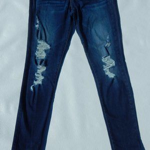 Flying Monkey Distressed Skinny Jeans